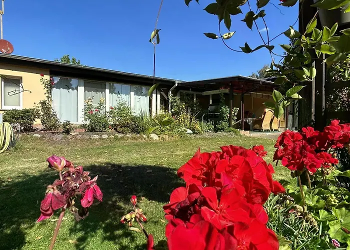 Beetzseeperle * Brandenburg (Brandenburg an der Havel)